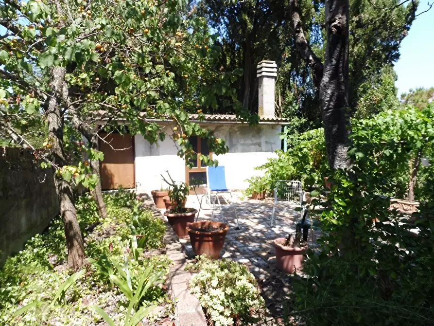 Immagine 15 di Casa semindipendente in vendita  a Lajatico