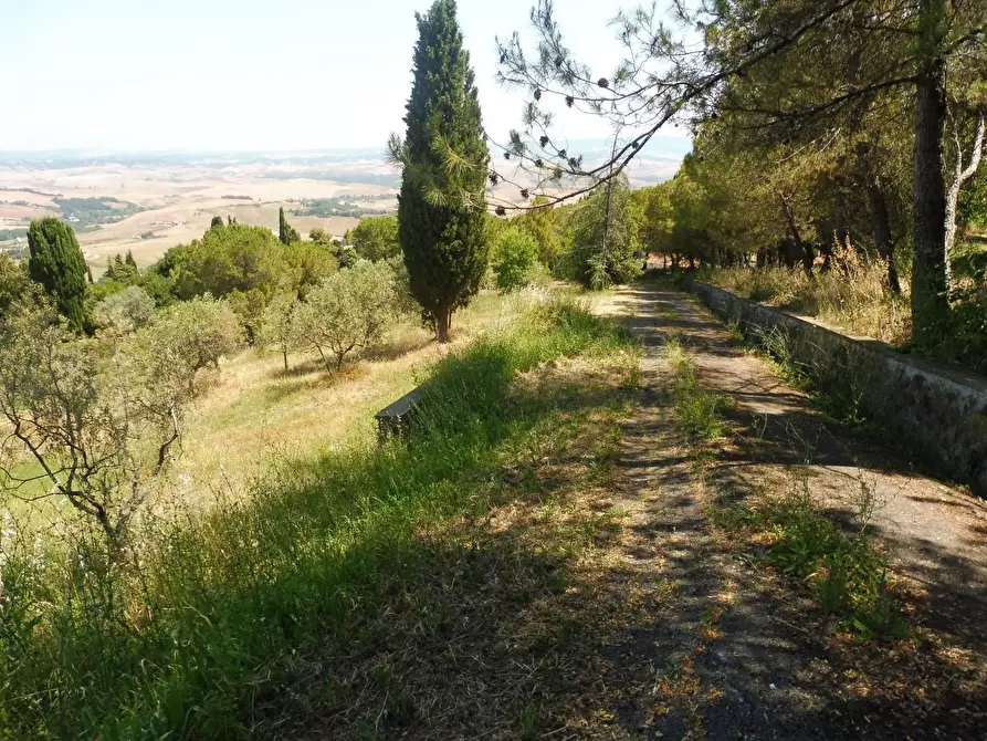 Immagine 30 di Casa semindipendente in vendita  a Lajatico
