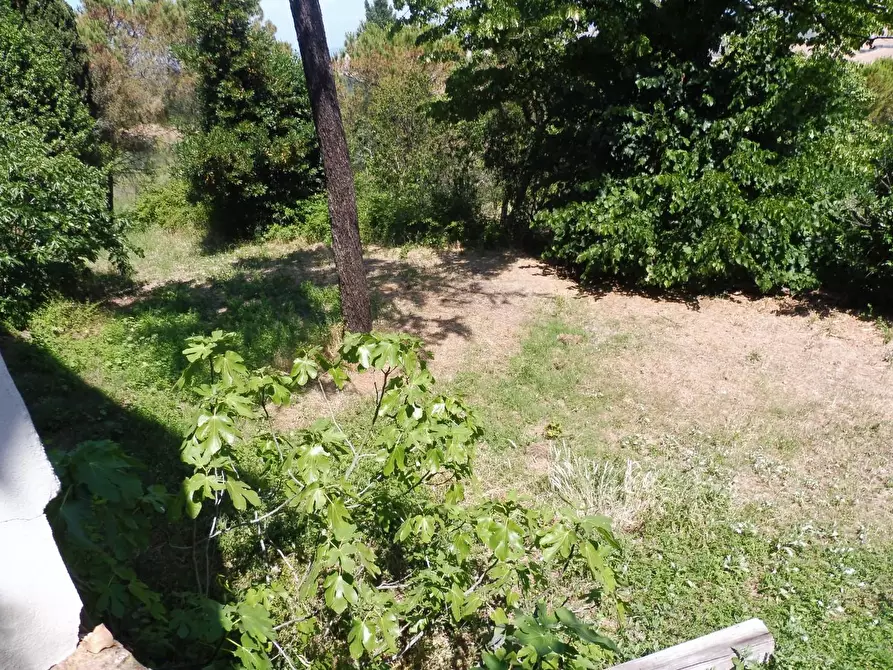 Immagine 3 di Casa semindipendente in vendita  a Lajatico