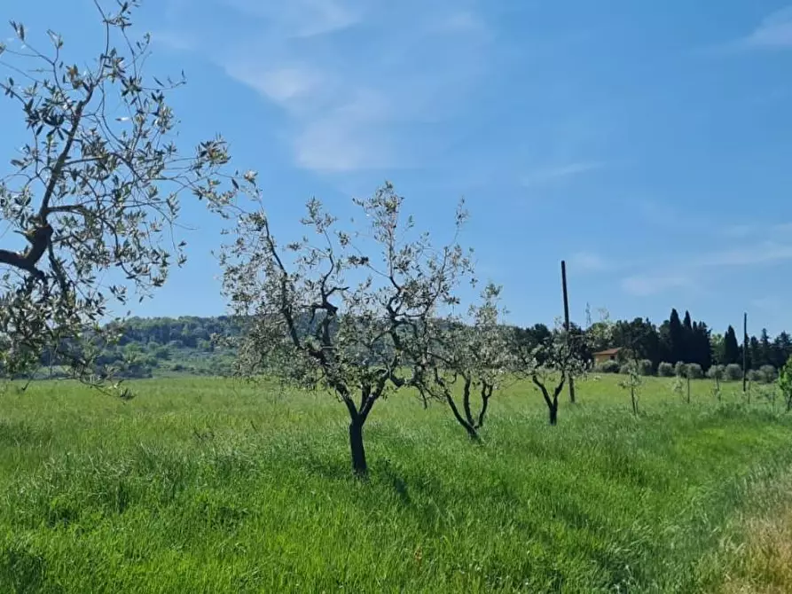 Immagine 31 di Casa semindipendente in vendita  a Lajatico