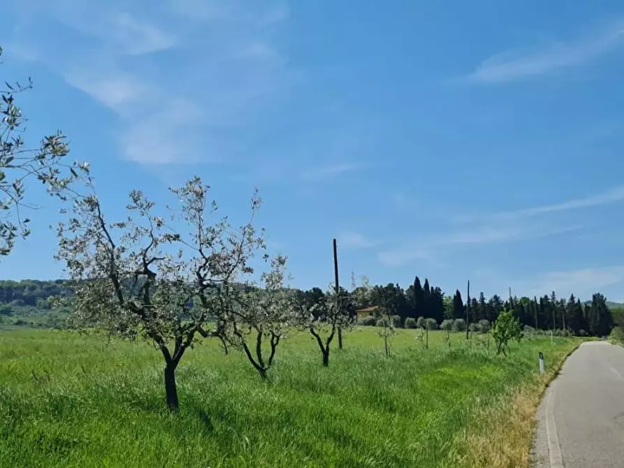 Immagine 40 di Casa semindipendente in vendita  a Lajatico
