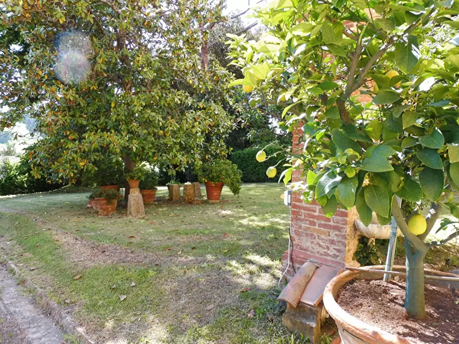 Immagine 14 di Immobile di prestigio in vendita  a Capannoli