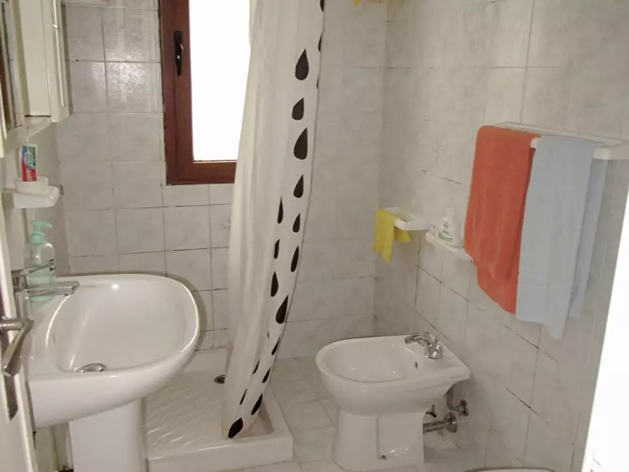 Immagine 16 di Appartamento in affitto  a Pisa