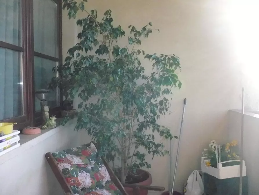 Immagine 4 di Appartamento in affitto  a Colle Di Val D'elsa