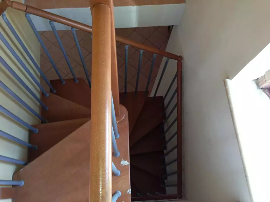 Immagine 10 di Appartamento in affitto  a Siena