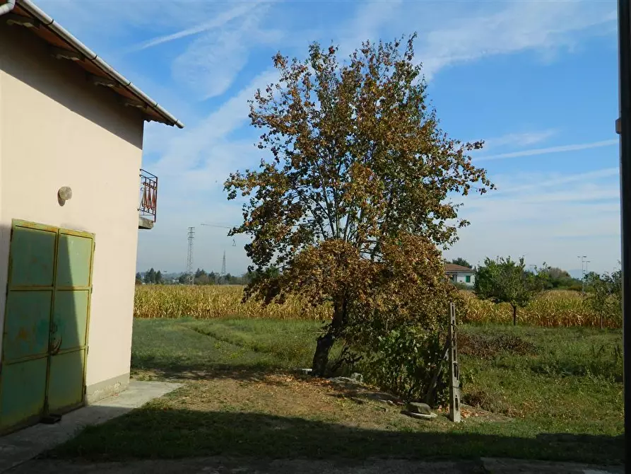 Immagine 7 di Deposito in vendita  a San Miniato