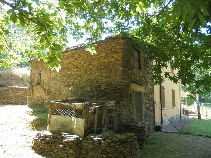 Immagine 2 di Rustico / casale in vendita  a Massa