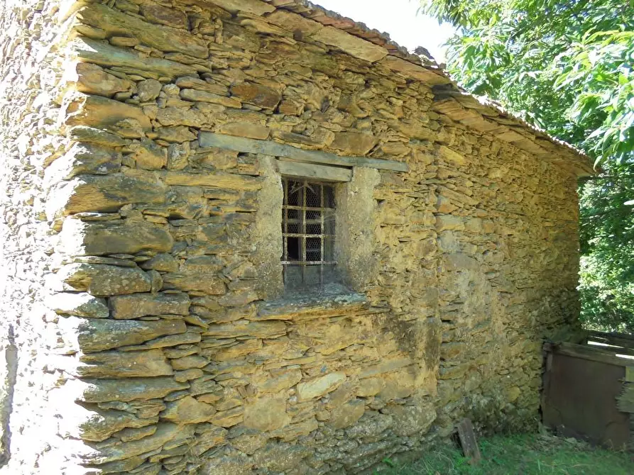 Immagine 10 di Rustico / casale in vendita  a Massa