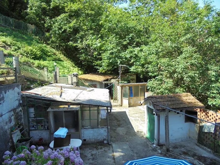 Immagine 21 di Casa indipendente in vendita  a Massa