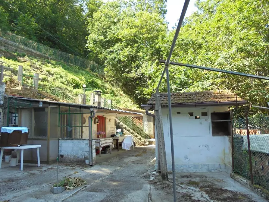 Immagine 6 di Casa indipendente in vendita  a Massa