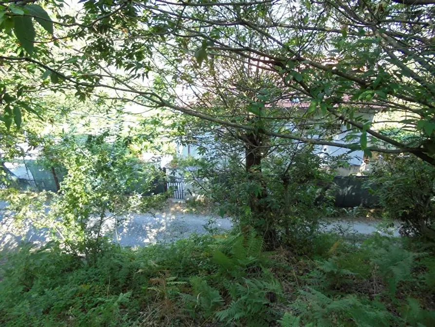 Immagine 5 di Casa indipendente in vendita  a Massa