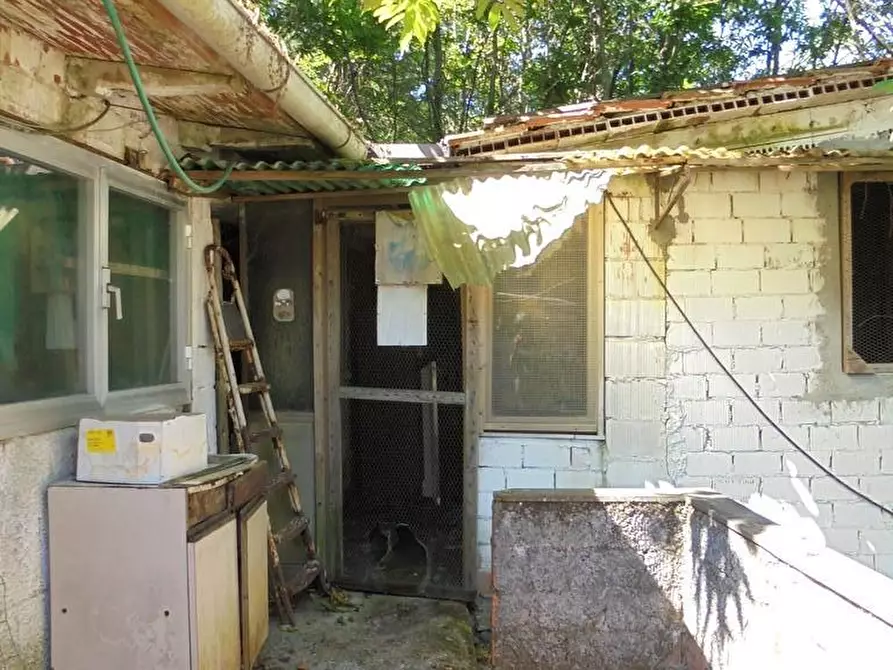 Immagine 11 di Casa indipendente in vendita  a Massa