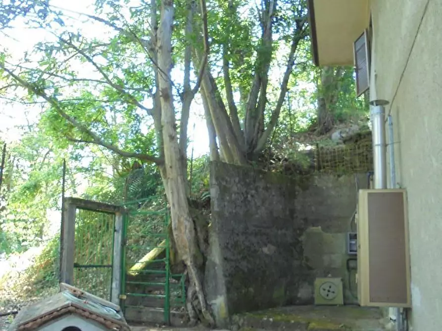 Immagine 4 di Casa indipendente in vendita  a Massa