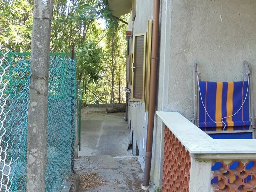 Immagine 3 di Casa indipendente in vendita  a Massa