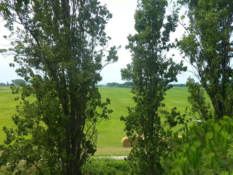 Immagine 20 di Appartamento in vendita  a Ortonovo