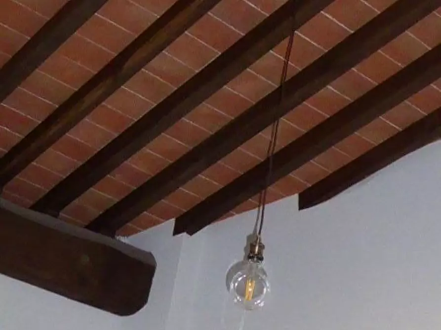 Immagine 23 di Terratetto in vendita  a Vecchiano