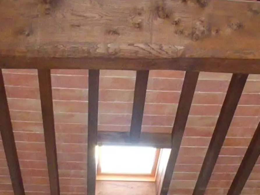 Immagine 22 di Terratetto in vendita  a Vecchiano