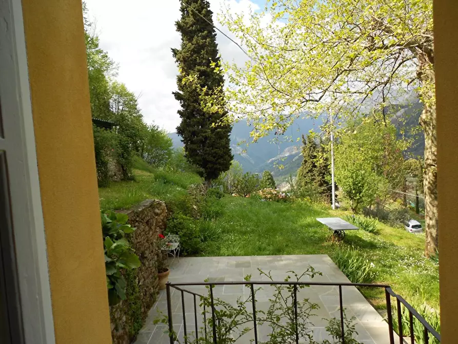Immagine 12 di Villa in vendita  a Pietrasanta