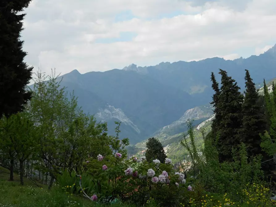 Immagine 19 di Villa in vendita  a Pietrasanta