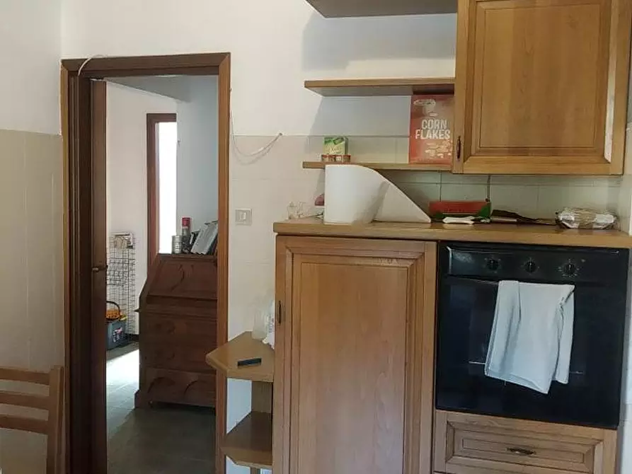 Immagine 2 di Appartamento in affitto  a Pisa