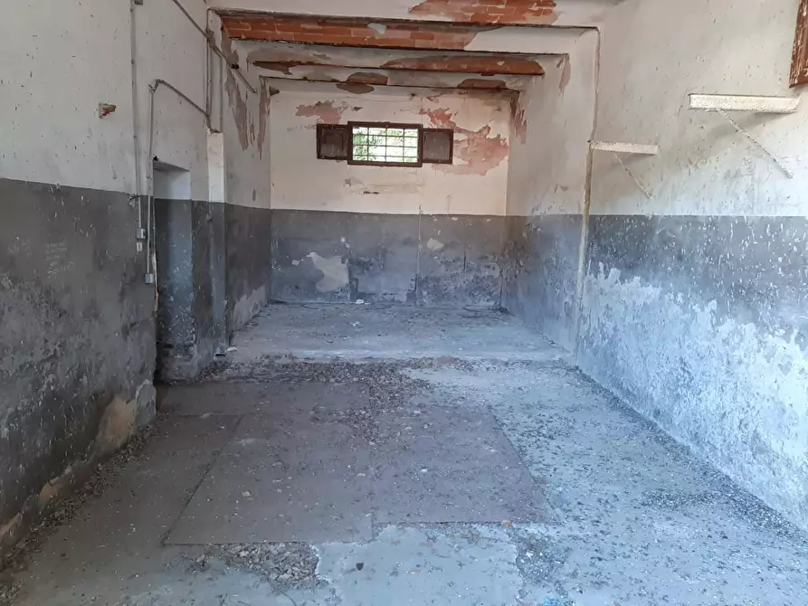 Immagine 5 di Loft/Open space in vendita  a Bibbona