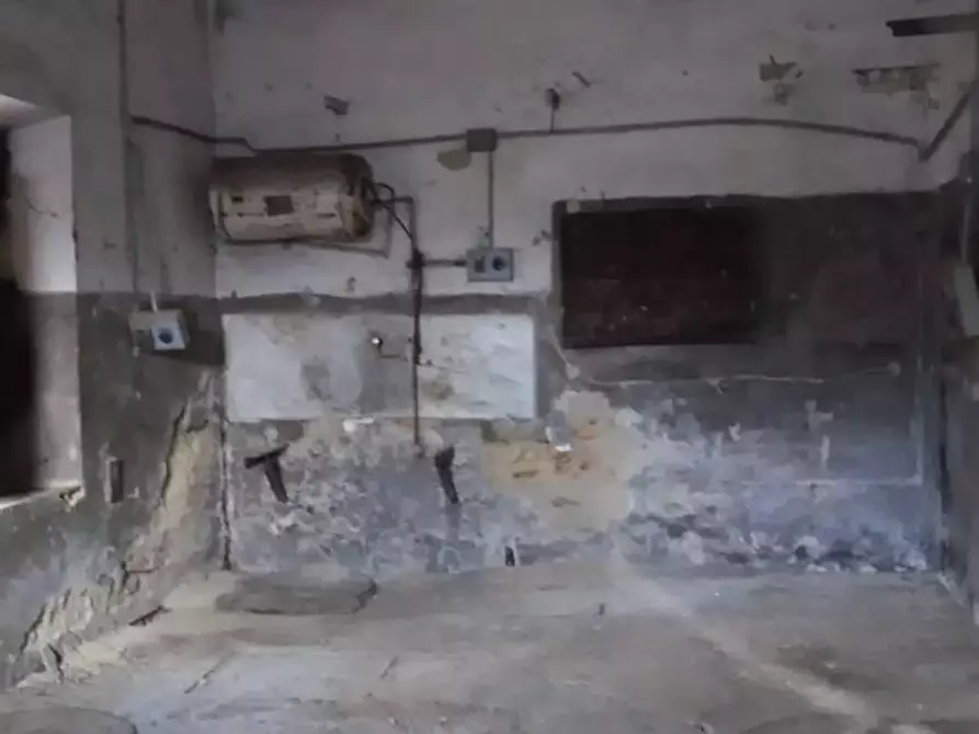 Immagine 6 di Loft/Open space in vendita  a Bibbona