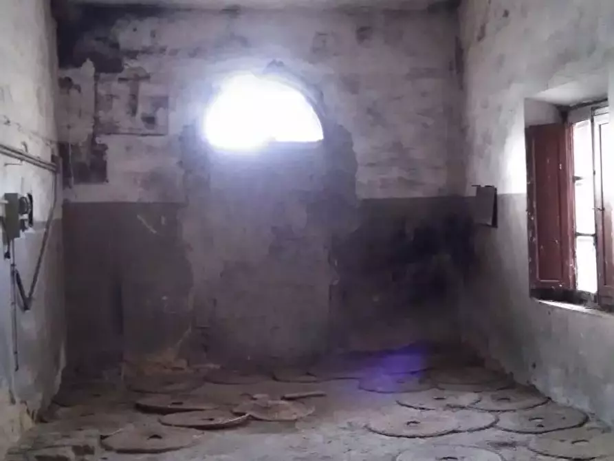 Immagine 2 di Loft/Open space in vendita  a Bibbona