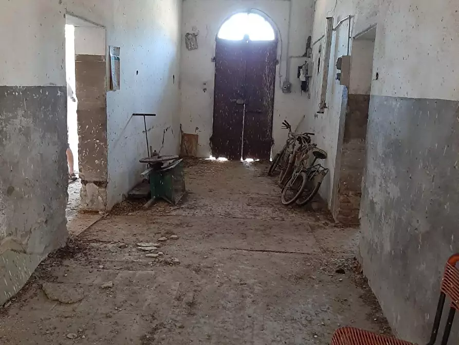 Immagine 7 di Loft/Open space in vendita  a Bibbona