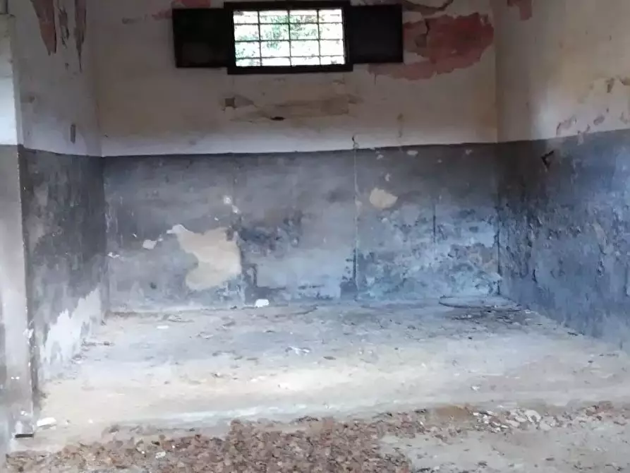 Immagine 10 di Loft/Open space in vendita  a Bibbona