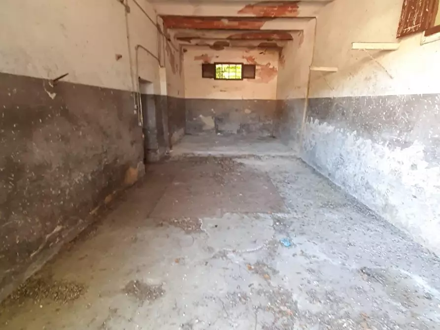 Immagine 8 di Loft/Open space in vendita  a Bibbona