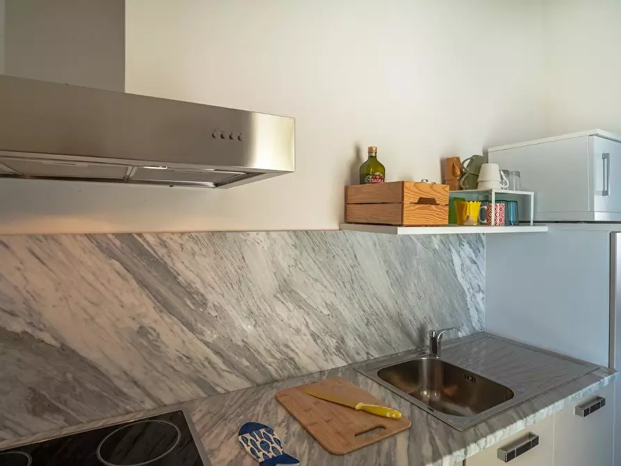 Immagine 16 di Appartamento in affitto  a Pisa