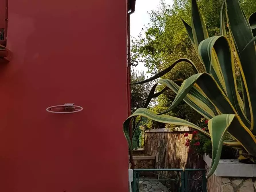 Immagine 2 di Casa indipendente in affitto  a Carrara