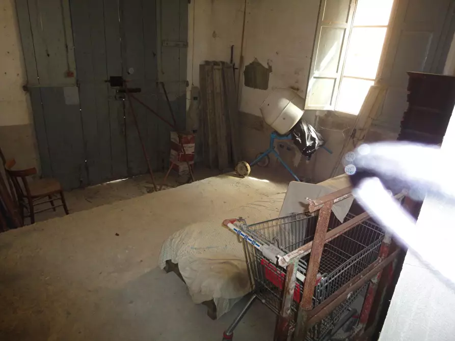 Immagine 5 di Appartamento in vendita  a Palaia