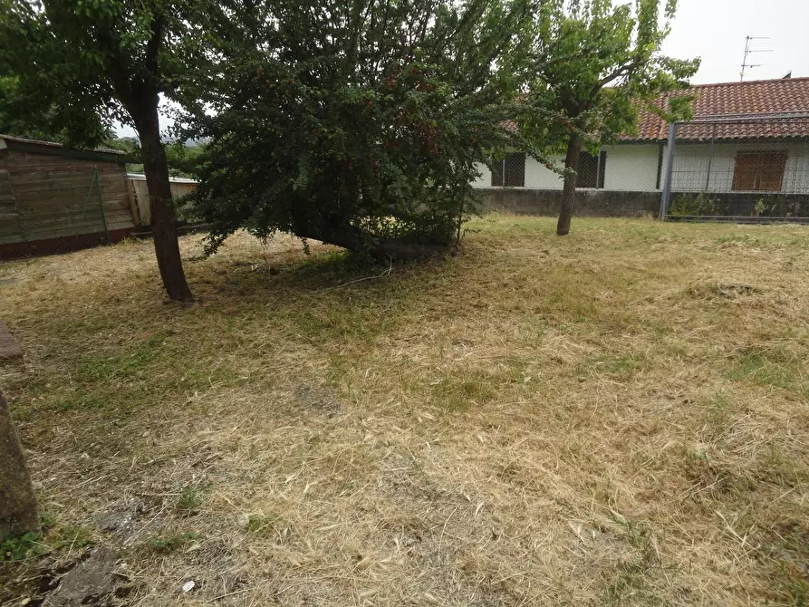 Immagine 4 di Appartamento in vendita  a Palaia