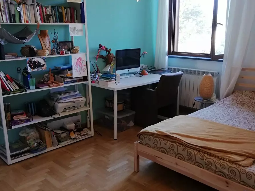 Immagine 14 di Appartamento in affitto  a Pisa