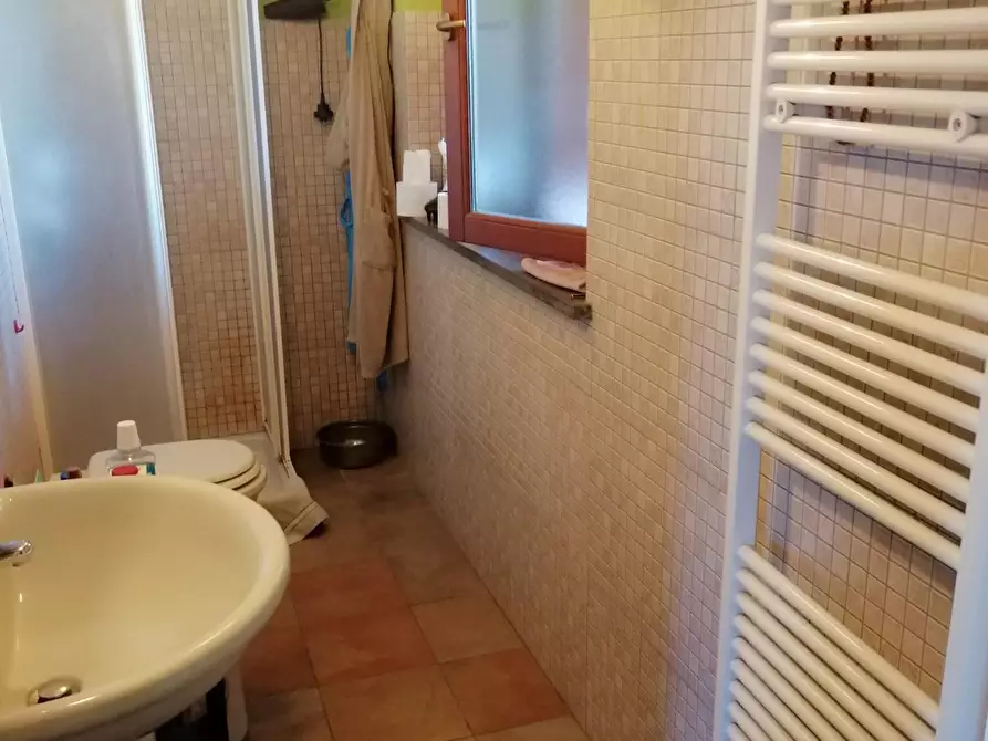 Immagine 7 di Appartamento in affitto  a Pisa