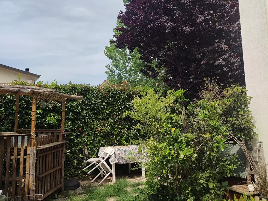 Immagine 22 di Appartamento in affitto  a Pisa