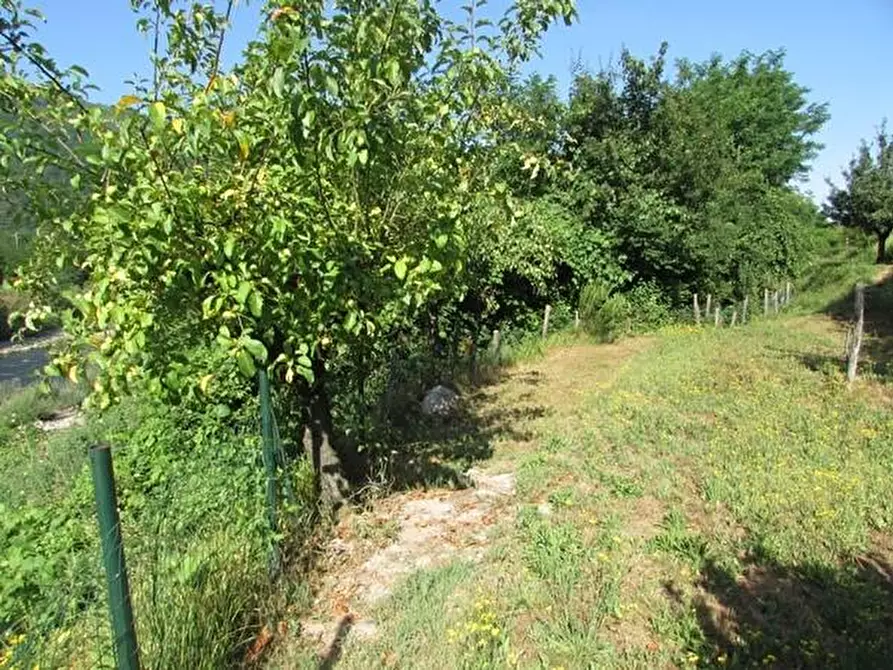 Immagine 53 di Casa indipendente in vendita  a Coreglia Antelminelli