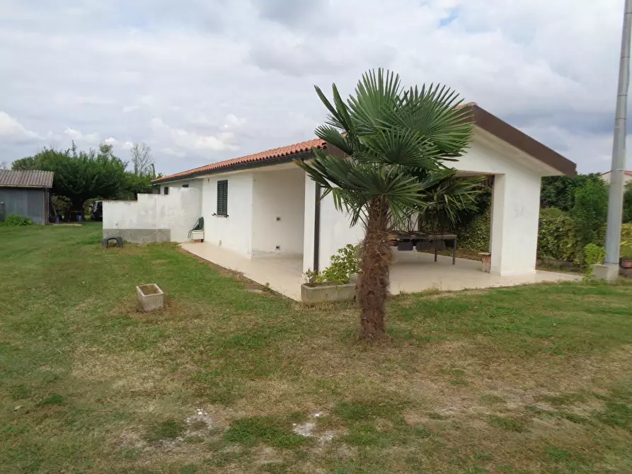 Immagine 6 di Terreno agricolo in vendita  a Pisa