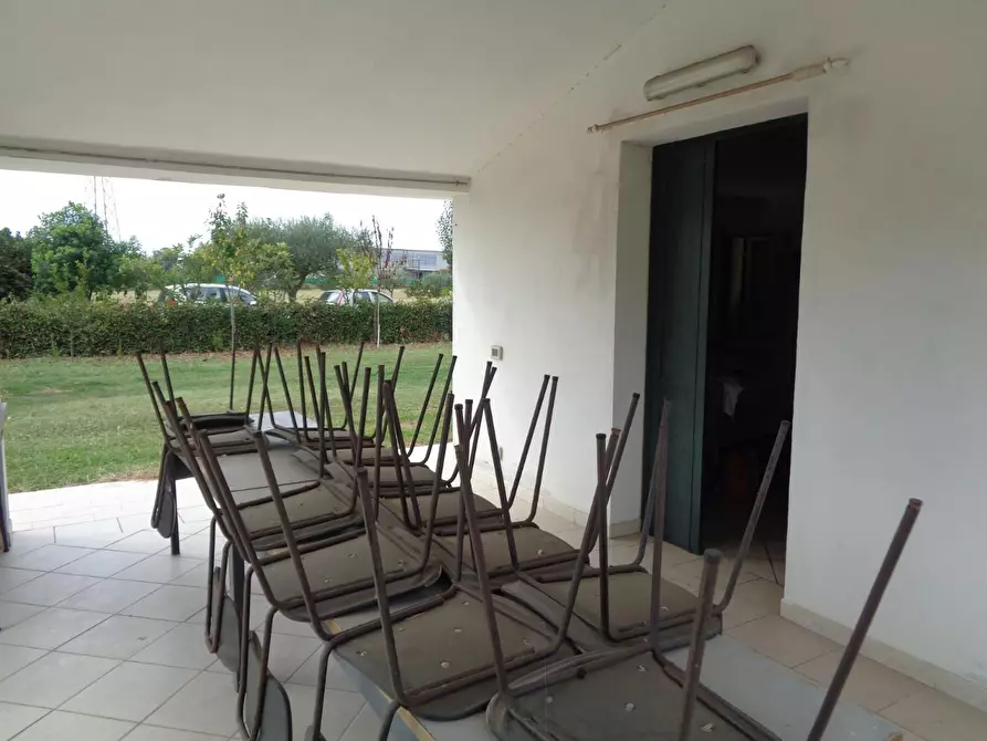 Immagine 10 di Terreno agricolo in vendita  a Pisa