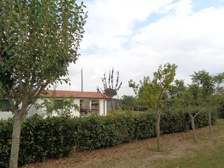 Immagine 3 di Terreno agricolo in vendita  a Pisa