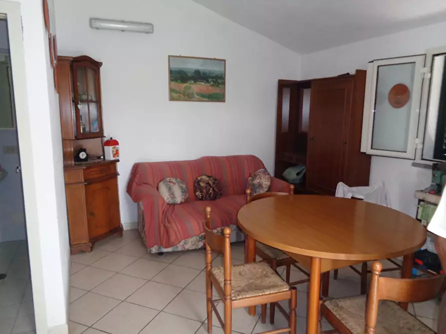 Immagine 13 di Terreno agricolo in vendita  a Pisa