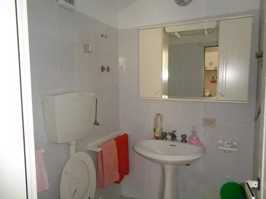 Immagine 11 di Terreno agricolo in vendita  a Pisa