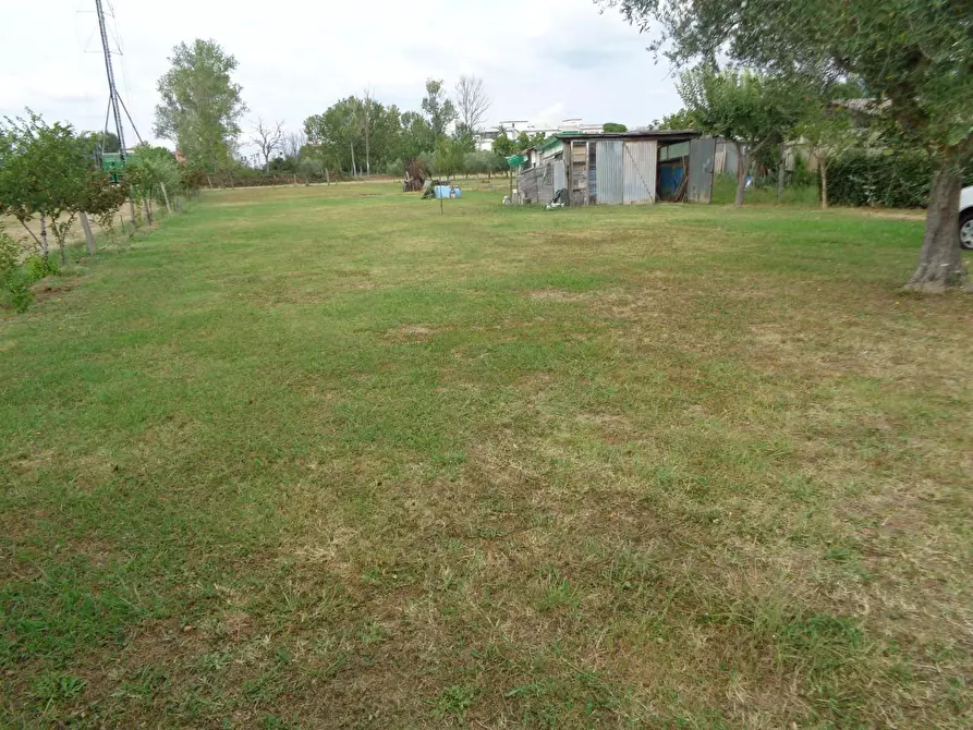 Immagine 2 di Terreno agricolo in vendita  a Pisa