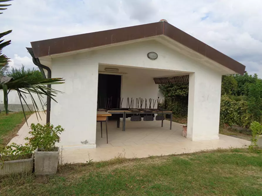 Immagine 8 di Terreno agricolo in vendita  a Pisa