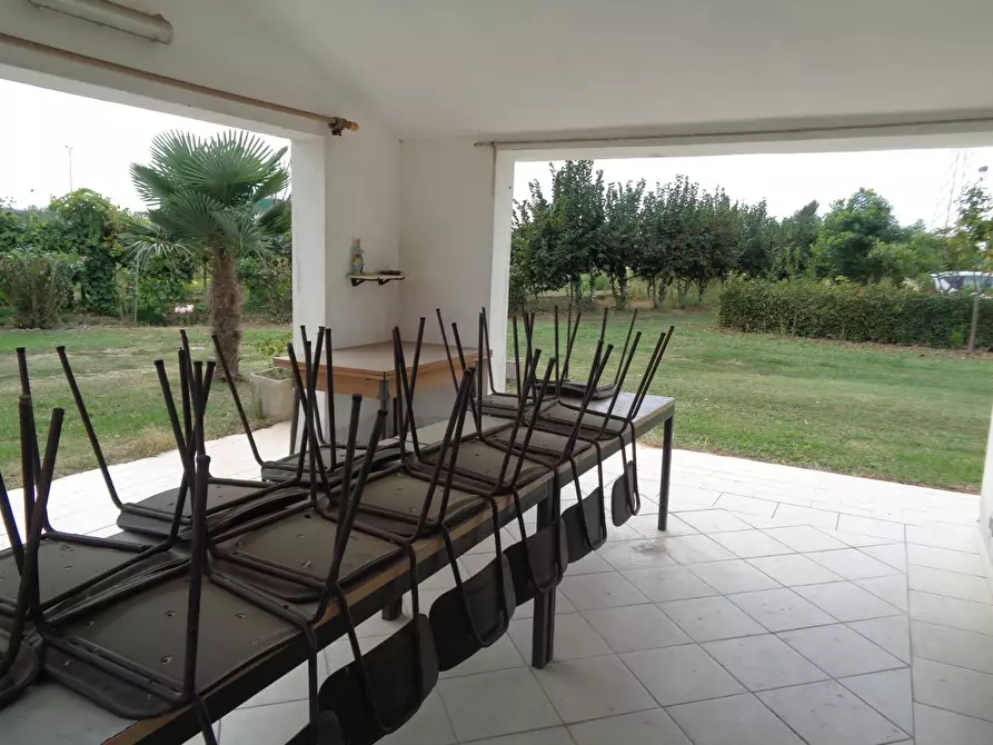 Immagine 14 di Terreno agricolo in vendita  a Pisa