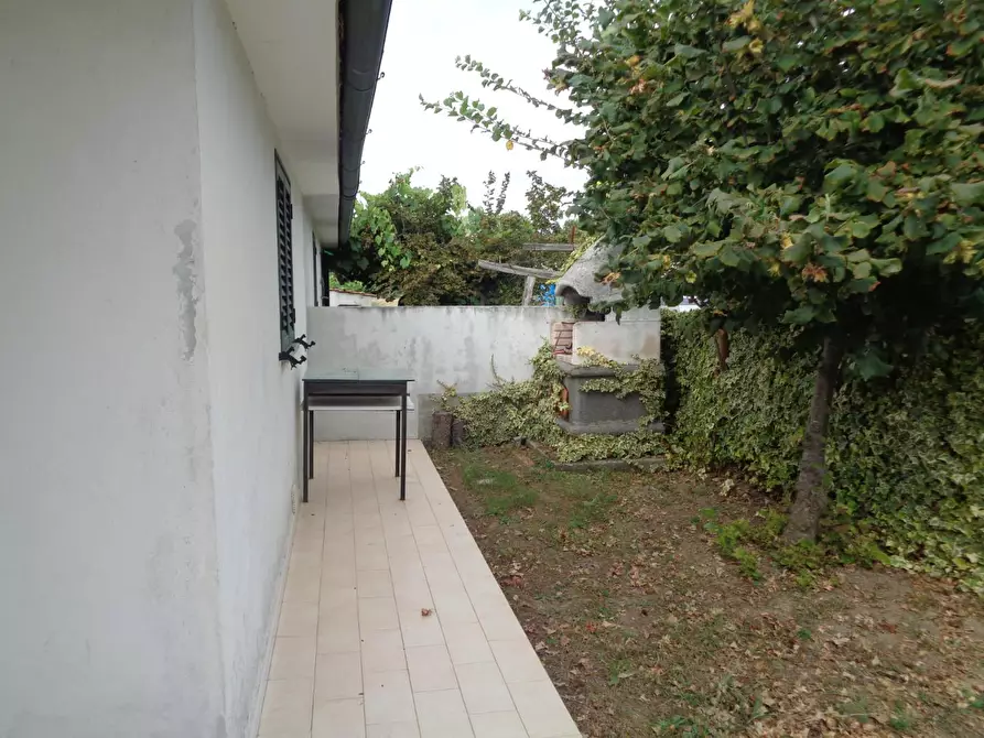 Immagine 9 di Terreno agricolo in vendita  a Pisa