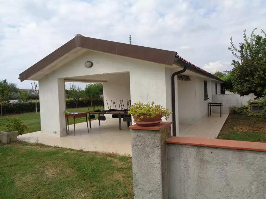 Immagine 16 di Terreno agricolo in vendita  a Pisa