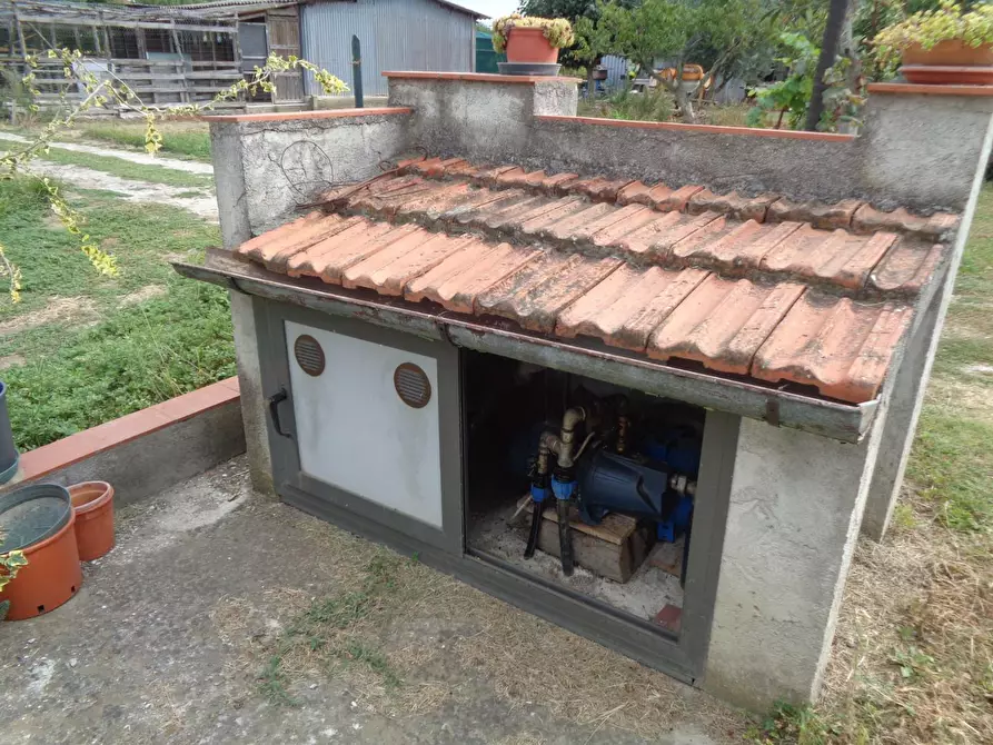 Immagine 15 di Terreno agricolo in vendita  a Pisa