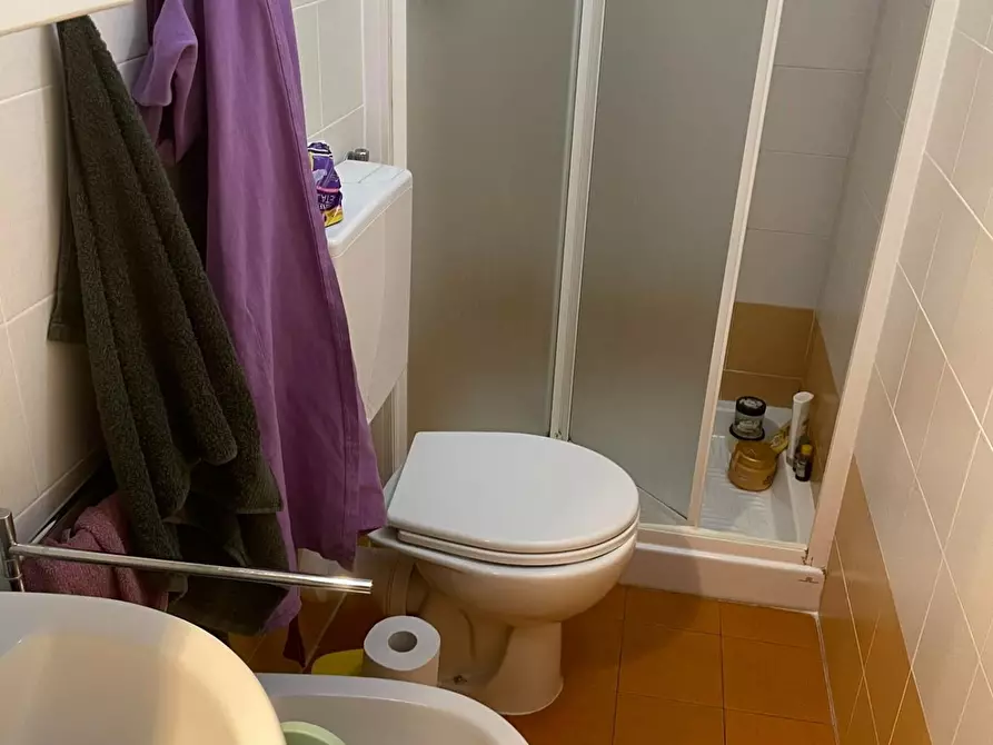 Immagine 5 di Appartamento in affitto  a Pisa